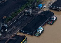 Sejumlah kapal tongkang pengangkut batubara melakukan bongkar muatan di perairan Sungai Musi, Palembang, Sumatera Selatan, Senin (19/7/2021)./ANTARA FOTO-Nova Wahyudi